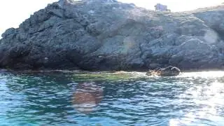 Corse/Korsika: Bootsfahrt Barcaggio -- Macinaggio