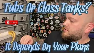 Should You Start With A Rack System Or A Glass Tank For Your Ball Pythons?