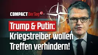 Trump & Putin: Kriegstreiber wollen Treffen verhindern!💥