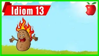 13 Hot potato - Idioms