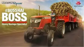 8055 MASSEY FERGUSON PULLING 21 TROLLEY 300 TON 😳(60HP) tracter 🚜 ￼