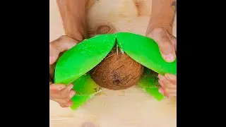 Unique eco-friendly drinkware made out of coconut 🥥