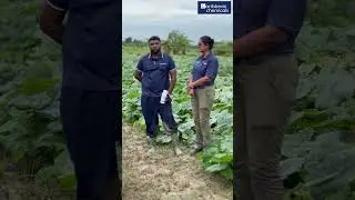 FLOOD RELIEF STRATEGY