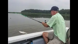 Cool New Catfish Fishing Rod - Check it Out!!