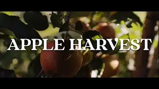 Apple Harvest | REEL History Trailer