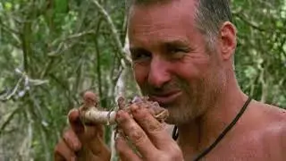 Discovery Channel (Germany) - Continuity & Ads (26.10.2024)