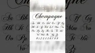 Best Calligraphy Fonts for Project 📚📝 | #fonts #like #subscribe