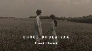 Bhool Bhulaiyaa 3 Title Track (slowed + reverb)