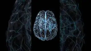 Your Attention Span is Shorter Than a Goldfish #Shorts