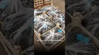 Почему дорожают европейские саженцы