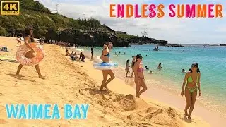 [4K] HAWAII - The Endless Summer @ Waimea Bay 2021