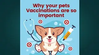 how to prevention and precautions from dog bite eduquest eduquestcourses elearning onlinecourse dog
