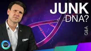 Junk DNA l David Rives Q&A on Genesis Science Report