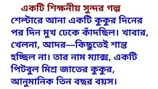 অনুপ্রেরণামূলক গল্প|FN Inspirational Dairy1M/Motivational Story|Moral Story|Heart Touching Story