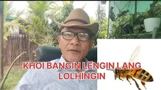 KHOI BANGIN LENGIN | Fly like honey bee