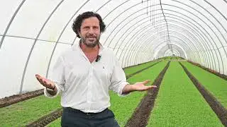 Cultiva: A Simple Hack to Prepare for Future Hurricanes