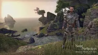 NEAT PERFECTION Reshade sweetFX ENB The Elder Scrolls Online Best graphics settings comparaison