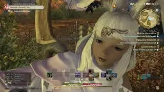 FFXIV ARR  With the Utmost Care