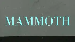 New Item Alert: MAMMOTH