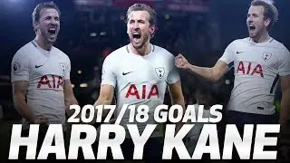 HARRY KANE'S 2017/18 PREMIER LEAGUE GOALS