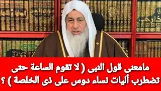 مامعنى قول النبى ( لا تقوم الساعة حتى تضطرب أليات نساء دوس على ذى الخلصة ) ؟الشيخ مصطفى العدوى