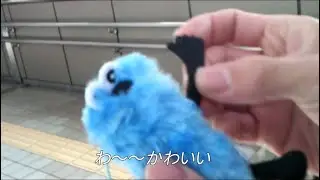 彼にスンスンをあげたい