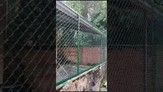 How to making low cost compound wall fencing, at kerala &hellip;
