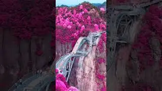 Peaceful floral path