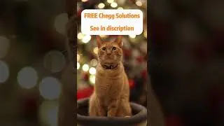Free Chegg Solutions #chegg #freesolutions #christmas #cat