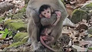 Hey Mom, Don't hug my throat too hard, it hurts.#video #viralvideo #video #funny #fyp #foryou #love 