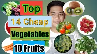 TOP 14 CHEAP VEGETABLE & FRUIT FOR LOVEBIRDS|kaparesTV