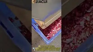 Automated Chili Sorting Machine|High Precision Sorting Technology, Boost Food Processing Efficiency!