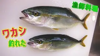 【ワカシ】漁師料理