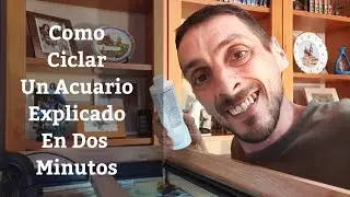 🔵 Como Ciclar Un Acuario Explicado En Dos Minutos (Acuarios MB)