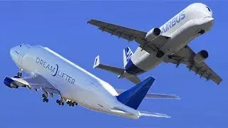 Airbus Beluga VS Boeing Dreamlifter