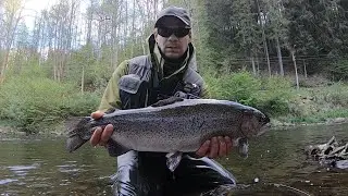 Muškaření Vltava 2020 / Fly fishing Vltava river 2020