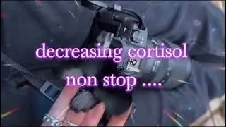 [ 𝑵𝑬𝑾 ] decreasing cortisol non-stop ⬇️