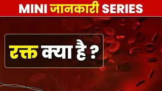 What is Blood ? (What is Blood) | Mini Information Series