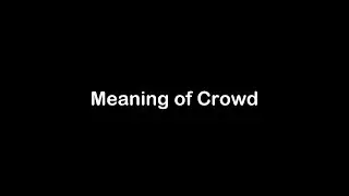 What is the Meaning of Crowd | Crowd Meaning with Example