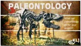 What Can Paleontology Do For Your Project?