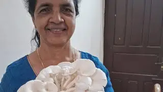 Growing mushrooms with Annie chechi