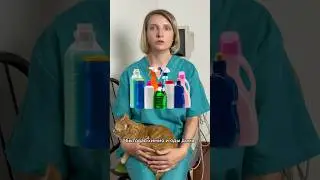Кошки и бытовая химия #asmr #cat #кот #котик #mukbang #food #catlover  #кошки #мем #mem