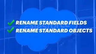 Rename Standard Fields & Standard Objects In Salesforce