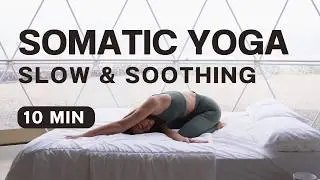 10 Min Music Only Evening Routine | Somatic Yoga for Nervous System Regulation
