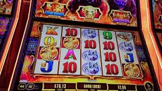 I'm So Happy with Buffalo Gold Cash Collection #casino #slot #subscribe