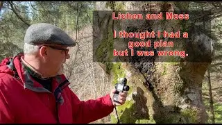 Лишайник и мох. Я думал, у меня есть план, но я ошибался!