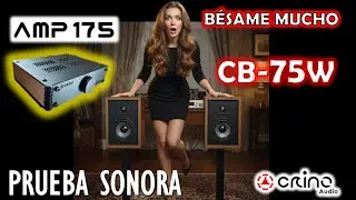 Bésame mucho | Prueba de AMP175 y CB75WBR