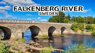 Falkenberg River (&Auml;tran) 🇸🇪 | Sweden&rsquo;s Beautiful Salmon River You Didn&rsquo;t Know About