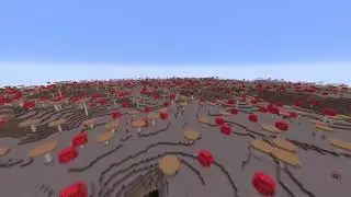 s11 teaser