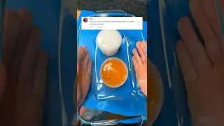 Overactivated Slime vs Underactivated Slime